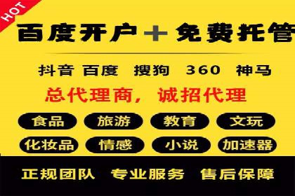 SEM托管服务成功案例背后的故事