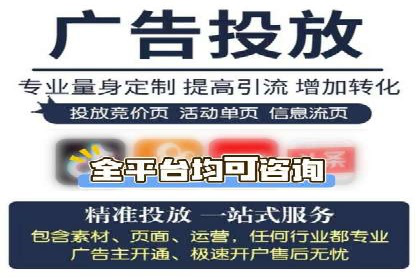 搜索引擎竞价推广实战：行业领先企业的成功秘诀